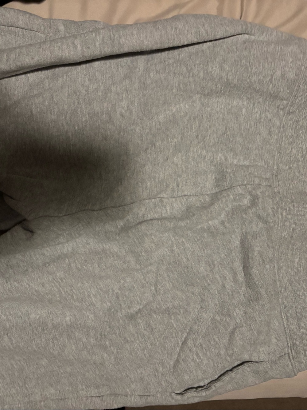 Aritzia SweatFleece Grey Sweatpants